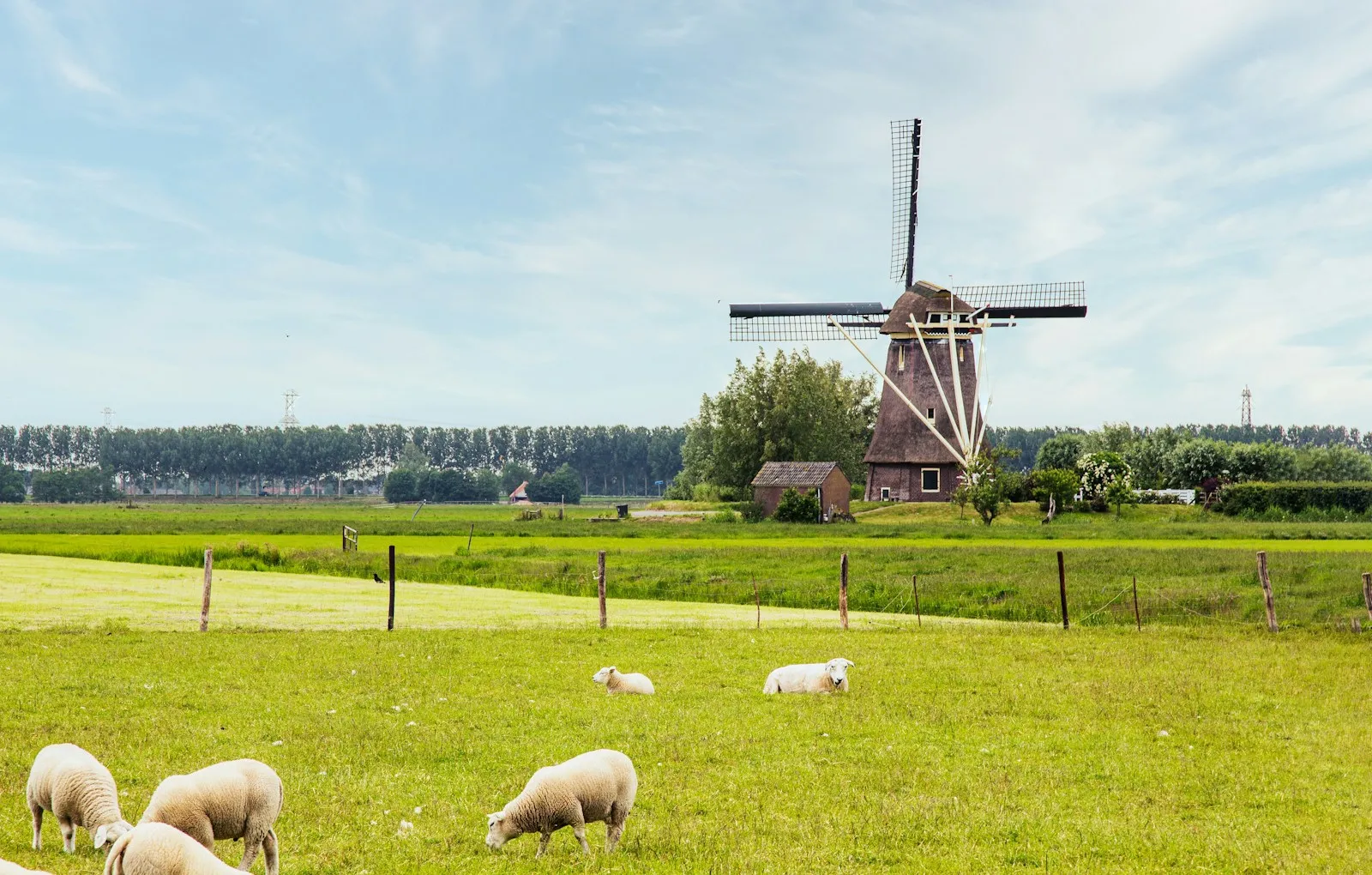 Noodstroom agrarisch bedrijf Limburg: gids 2026