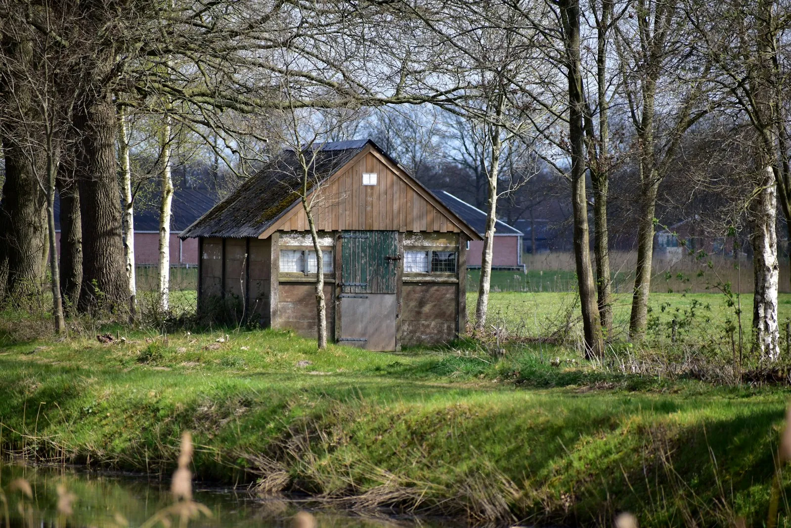 Off-grid zonnepanelen batterij noodstroom Limburg